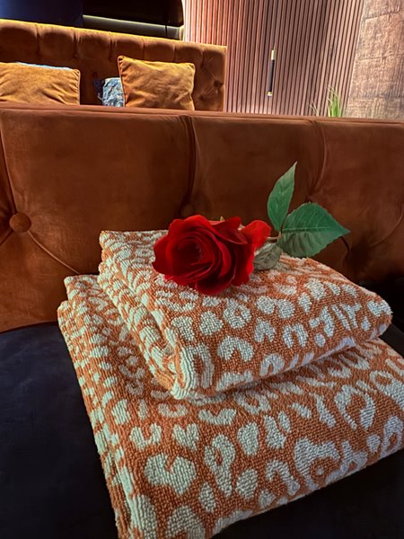 Domaine AbracadaRoom : Immersion Lasne - Image 11