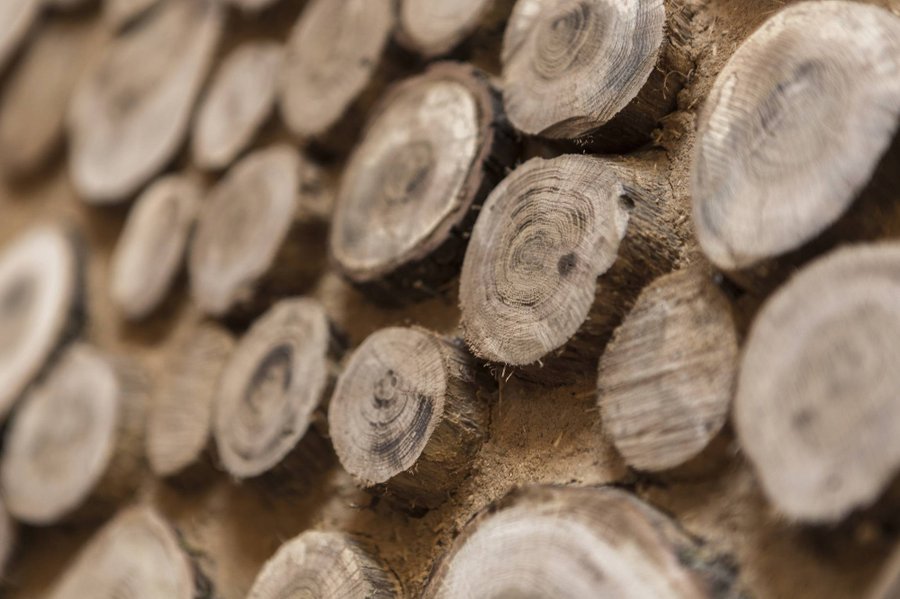 Hébergement AbracadaRoom : Gaia - Image 10