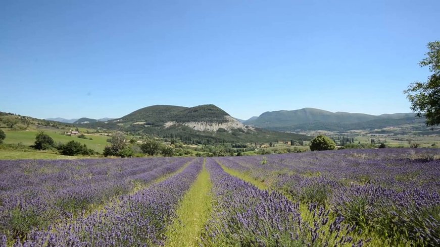 Domaine AbracadaRoom : Les Princes d'Orange - Image 14