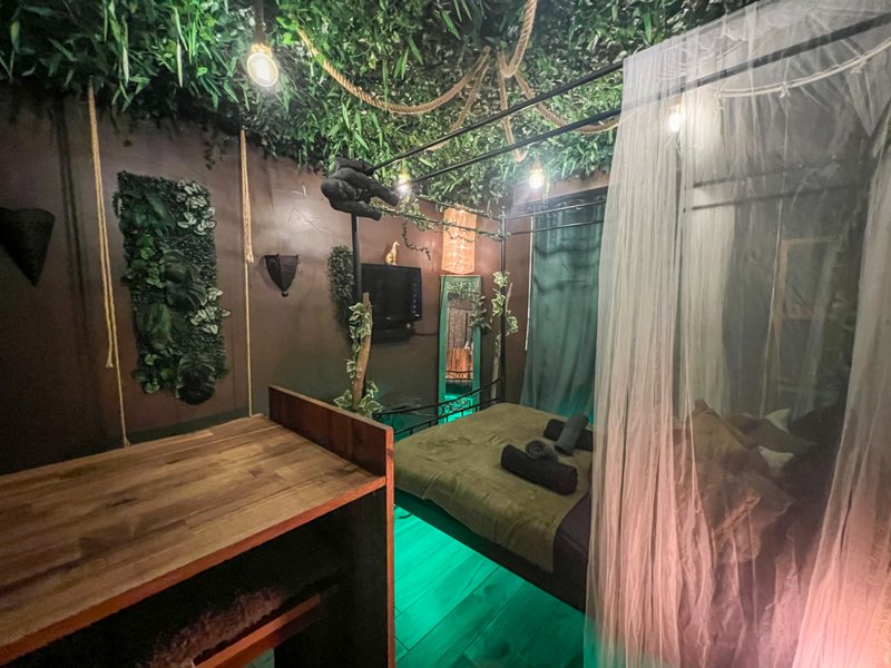 Hébergement AbracadaRoom : La Tanière de Mowgli - Plage du môle - Jungle Room - Image 6