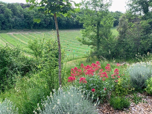 Hébergement AbracadaRoom : La Petite Garenne & SPA - Image 24