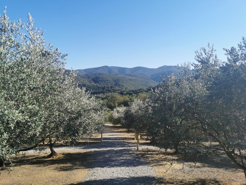 Domaine AbracadaRoom : Clots Das Vignes, nuits insolites - Image 4
