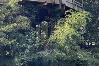 Les Cabanes de Koad'dour