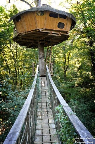 Hébergement AbracadaRoom : Cabane Amazonie - Image 2