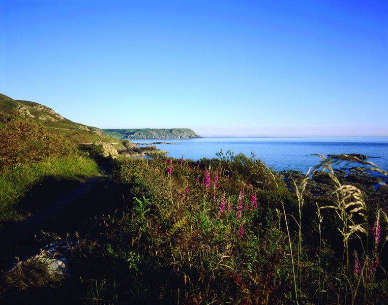 Domaine AbracadaRoom : Le P'tit Gris des Moulins - Image 10