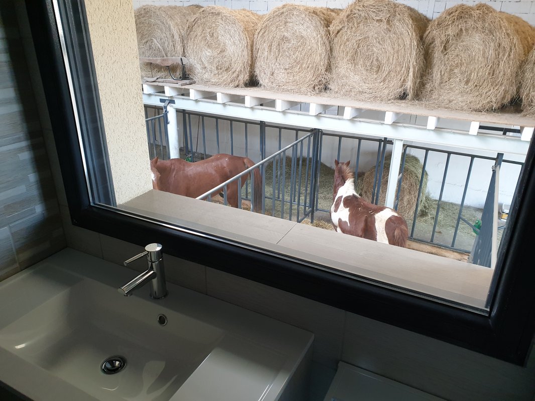 [4]  Chambre  3 pers. vue panoramique sur l’ensemble des chevaux à Fraisnes-En-Saintois (2)