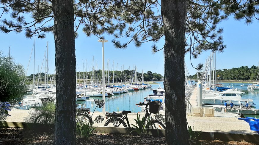 Domaine AbracadaRoom : Camping Les Hortensias - Image 6