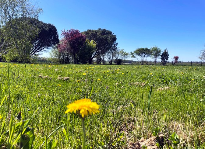 Domaine AbracadaRoom : Domaine des Anes - Image 12