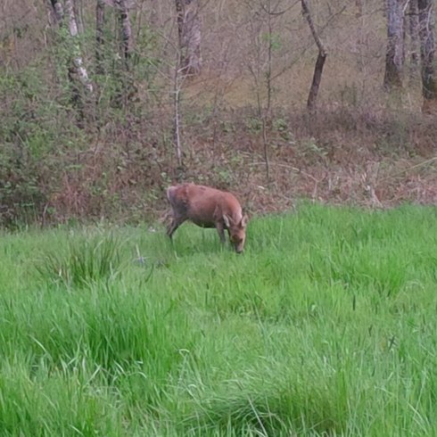 Hébergement AbracadaRoom : Cabanes en Loire & Spa - Image 14