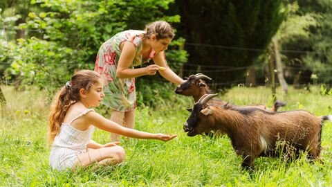 Domaine AbracadaRoom : Etang de sologne - Image 9