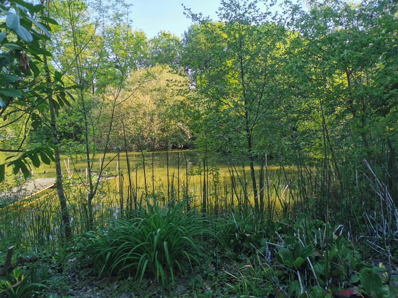 Domaine AbracadaRoom : La Noé verte - Image 5