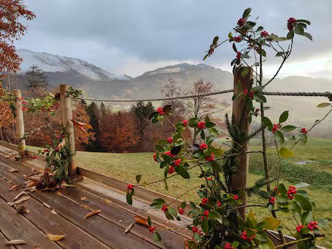 Hébergement AbracadaRoom : Refuge insolite avec vue panoramique - Image 17