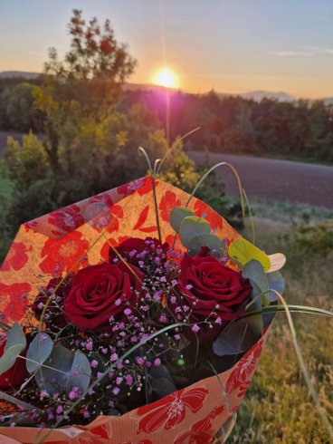 Hébergement AbracadaRoom : Cocoon Lodge, Spa & Sauna - Image 40