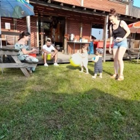 Domaine AbracadaRoom : Wallaby de Benett'on - Image 7