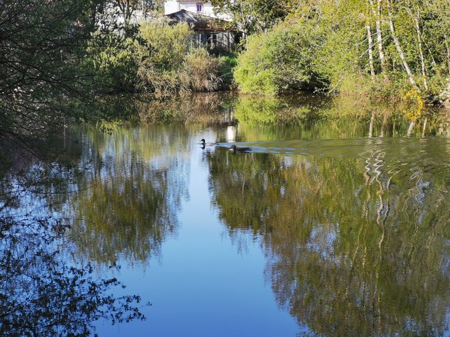 Domaine AbracadaRoom : La Noé verte - Image 1