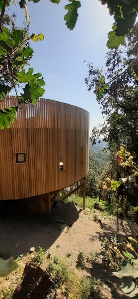 Hébergement AbracadaRoom : Cabane l'Albitru - Image 5