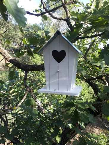 Hébergement AbracadaRoom : La Cabane des Amoureux - Image 18