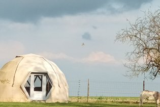 La bulle