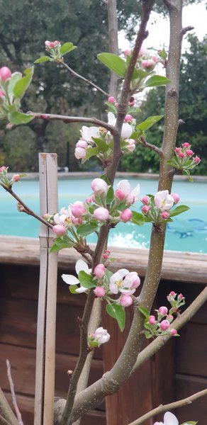 Domaine AbracadaRoom : Ecolodges en Provence - Image 3