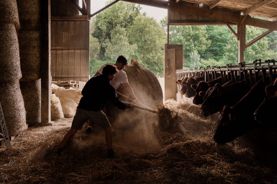 Domaine AbracadaRoom : Un Lit au Pré - L’étable des Mauges en Anjou - Image 1