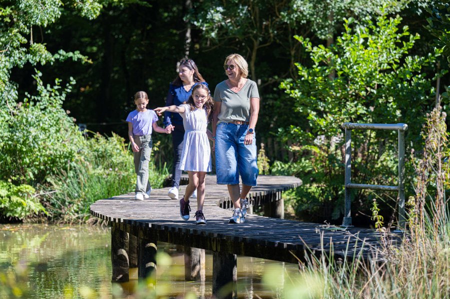 Domaine AbracadaRoom : Cabanes de la Belle - Image 4