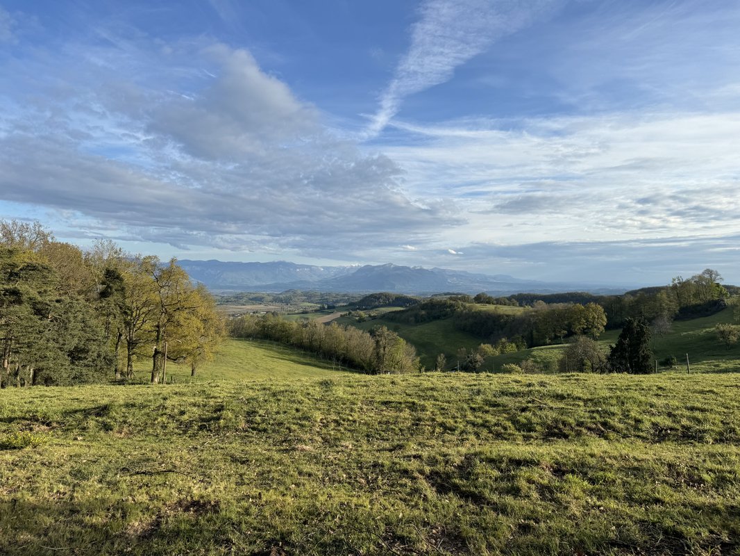 Terrasse des Chambarans - Panorama sur le Vercors à Bessins (15)