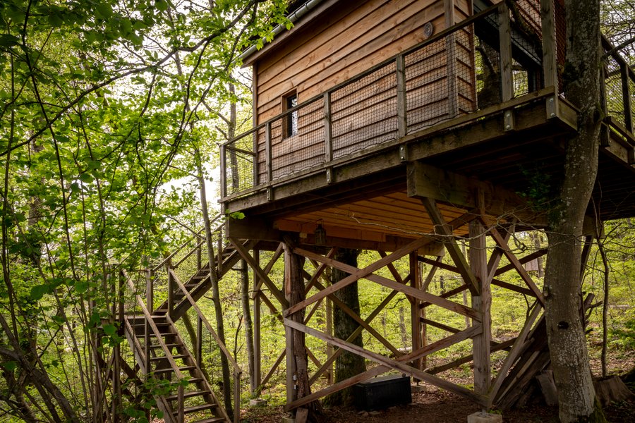 Hébergement AbracadaRoom : La Pat' de l'ours - Image 6