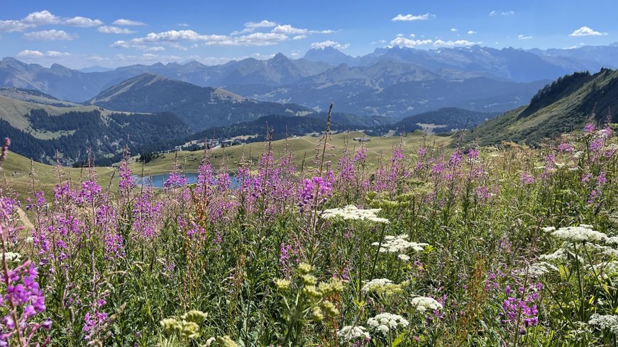 Domaine AbracadaRoom : Chalet d'alpage de Beauregard - Image 30