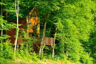 Cabane dans les arbres Ardennes