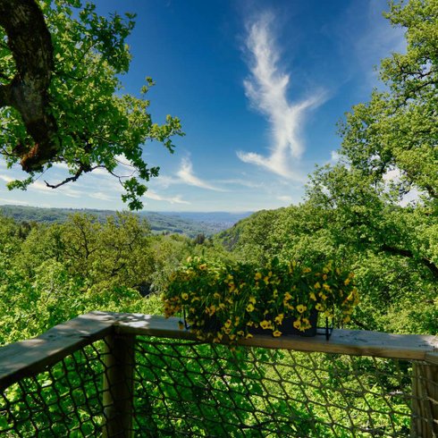 Domaine AbracadaRoom : Les Cabanes dans les Arbres de Caluche - Image 19