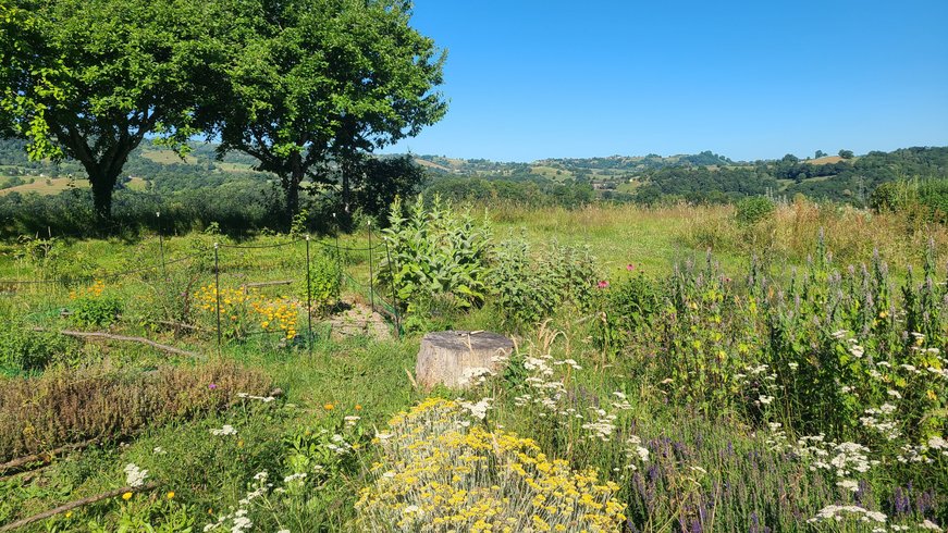 Hébergement AbracadaRoom : Yourte Pyrénées -  bassin naturel avec cascade - Image 13