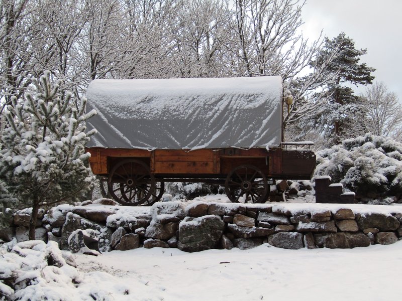 Hébergement AbracadaRoom : Calèche western - Image 1