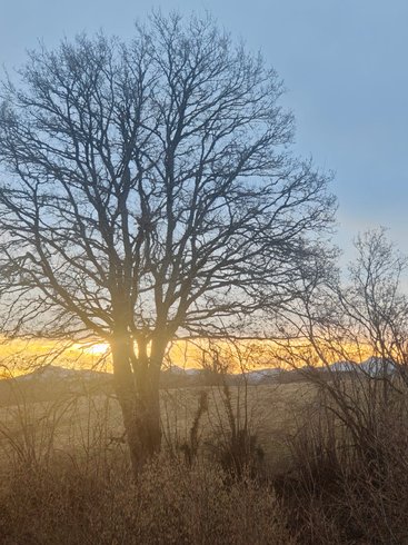 Domaine AbracadaRoom : Moose Tiny House Chaumes - Image 24