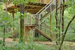 Cabane dans les arbres Vienne