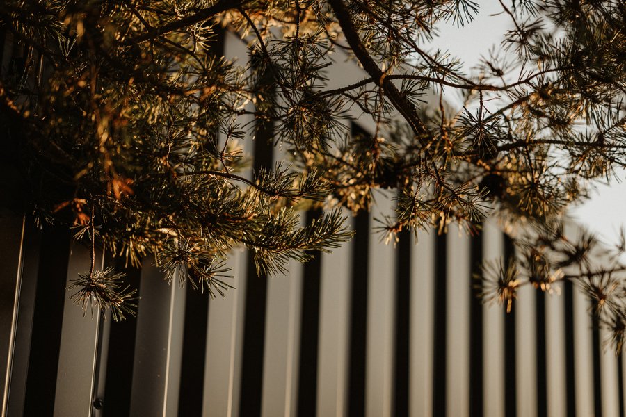 Hébergement AbracadaRoom : Homnest - L'Instant Sauvage - Vue Cimes & Forêt - Image 31