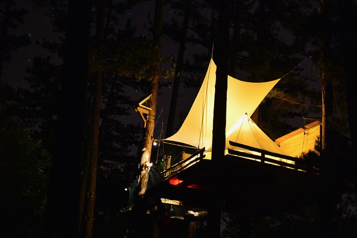 Hébergement AbracadaRoom : Jungle Lodge Classic - Image 8