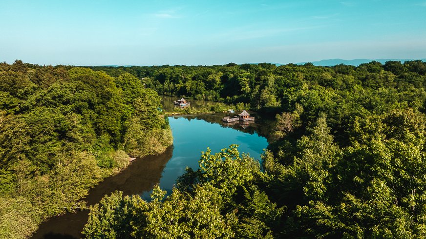 Domaine AbracadaRoom : Coucoo Grands Reflets - Image 6