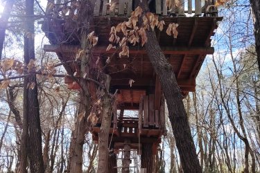 Cabane Nid d’Oiseaux - Un cocon perché qui danse avec le vent à Saint-Donat-Sur-L'herbasse (1)