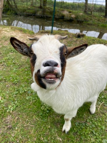 Hébergement AbracadaRoom : Dans ma Bulle & Spa - Image 28