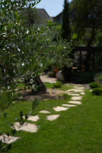 Domaine AbracadaRoom : Santolina Etrusca - Image 3