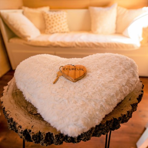 Hébergement AbracadaRoom : Tiny house Ecureuil - Image 16