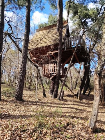 Hébergement AbracadaRoom : Cabane Nid d’Oiseaux - Un cocon perché qui danse avec le vent - Image 1