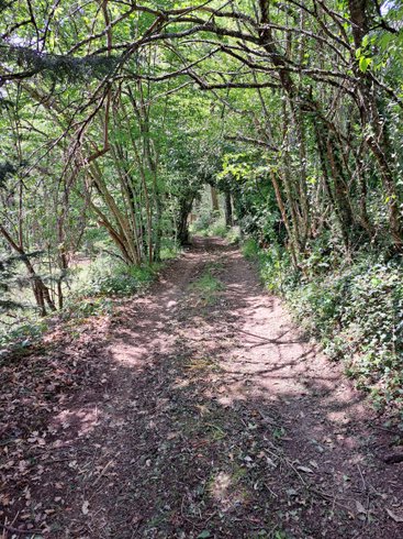 Domaine AbracadaRoom : Le Refuge d'Yzeron - Image 29