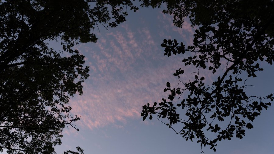 Domaine AbracadaRoom : Homnest (Viens) - Image 22