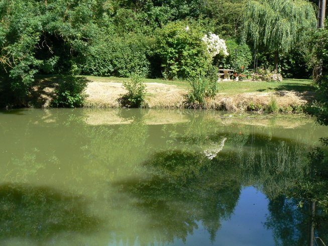 Domaine AbracadaRoom : La Maison de l'étang - Image 7