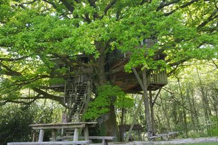 Cabane dans les arbres Corrèze