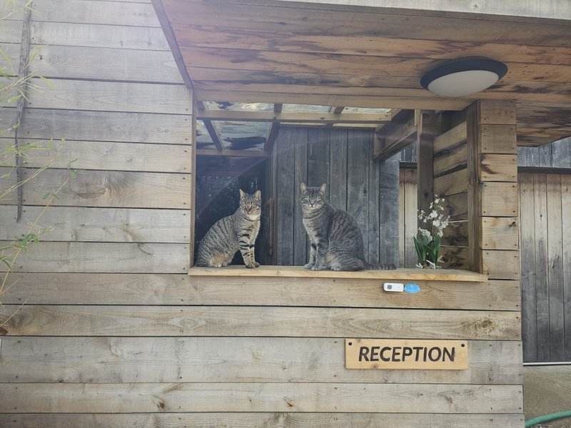 Domaine AbracadaRoom : Domaine de Casanghjulina - Image 4