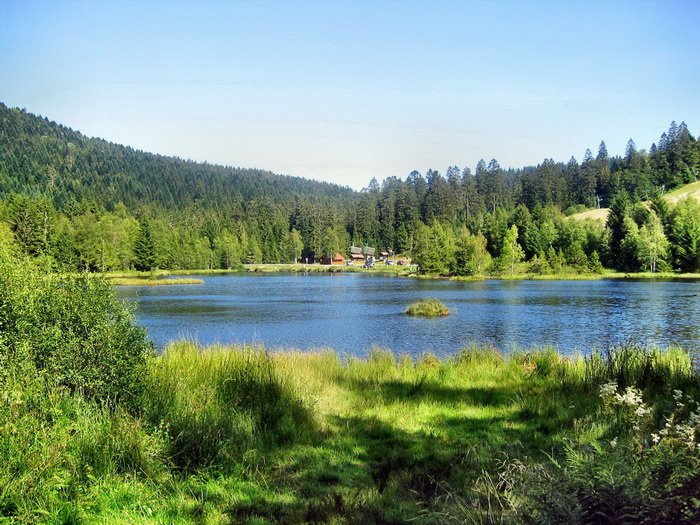 Domaine AbracadaRoom : La Gazelle Perchée - Image 3