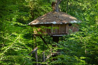 L'Arbre à Cabane