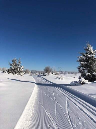 Domaine AbracadaRoom : Les Logettes de Caroline - Image 81